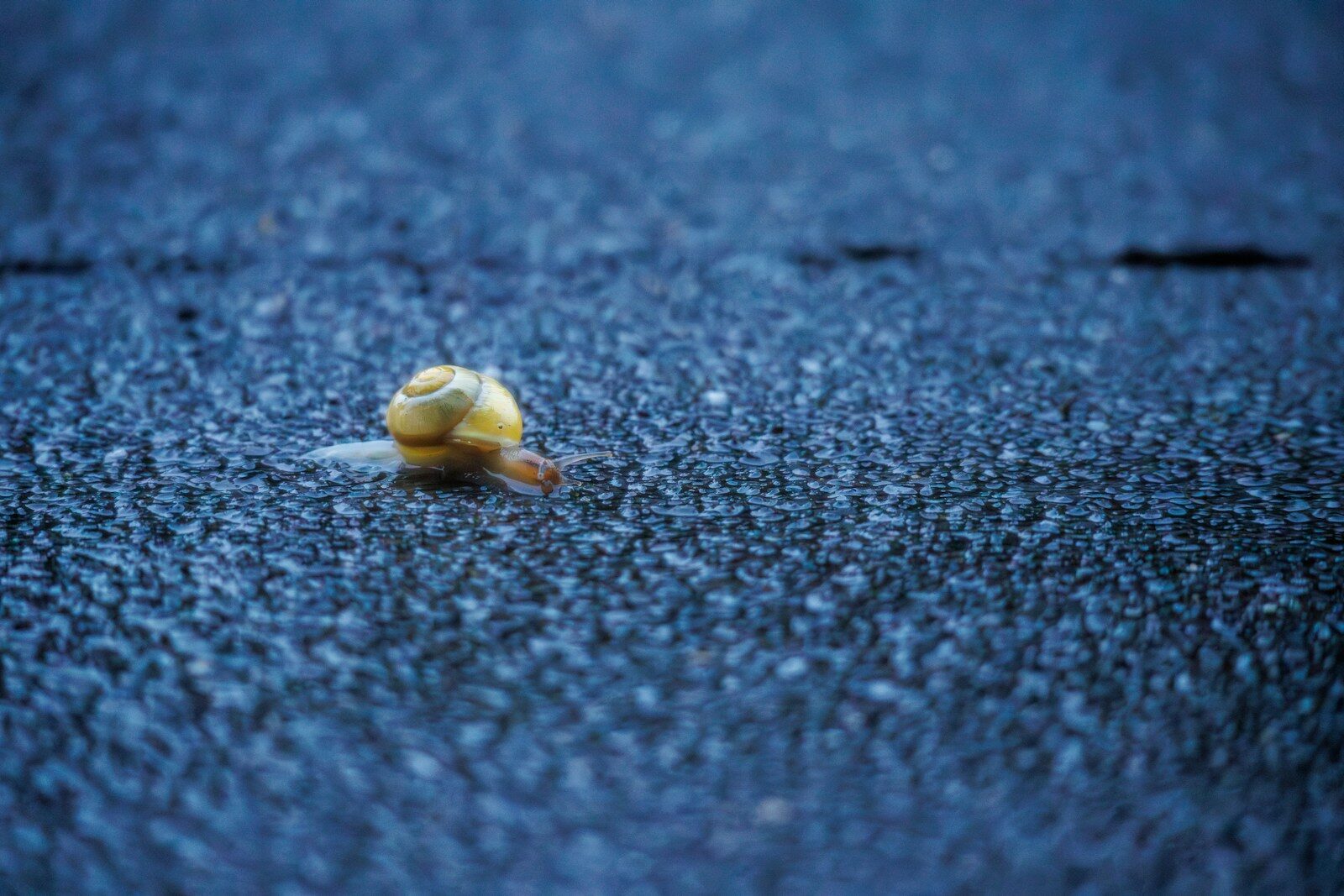 A small yellow object sitting on the side of a road